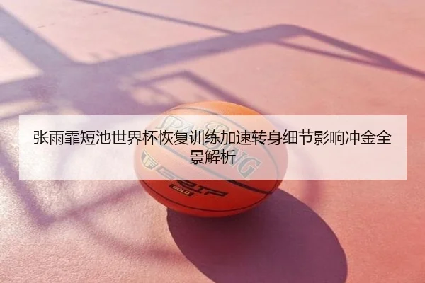 张雨霏短池世界杯恢复训练加速转身细节影响冲金全景解析