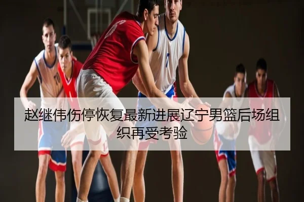 赵继伟伤停恢复最新进展辽宁男篮后场组织再受考验